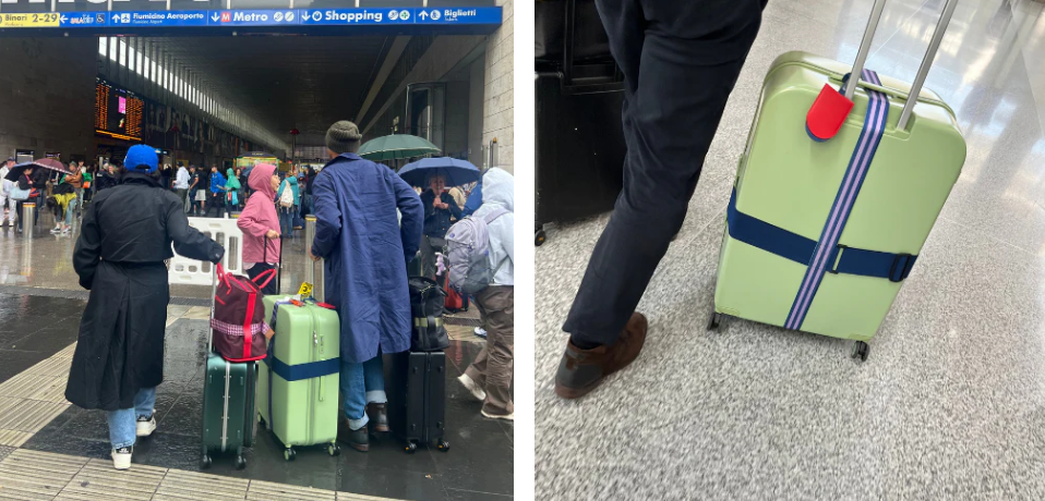 Luggage Straps - Tuxedo